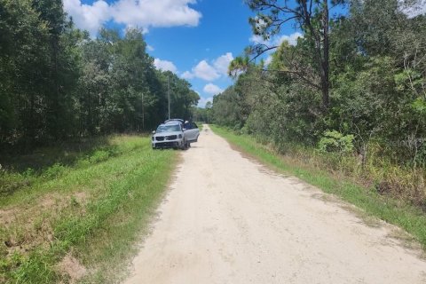 Land in Dunnellon, Florida № 1893615 - photo 2
