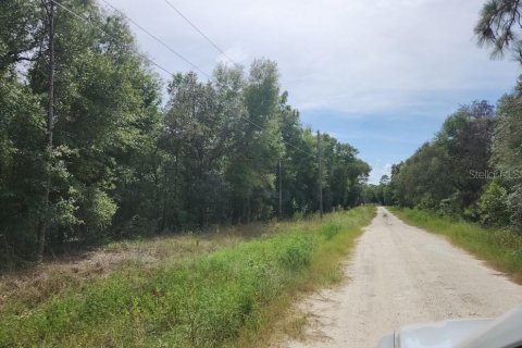 Land in Dunnellon, Florida № 1893615 - photo 1
