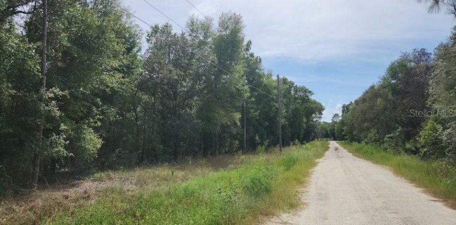 Land in Dunnellon, Florida № 1893615