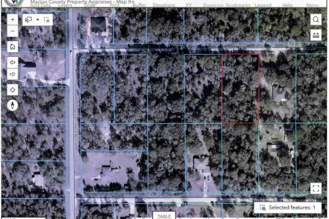 Land in Dunnellon, Florida № 1893615 - photo 8