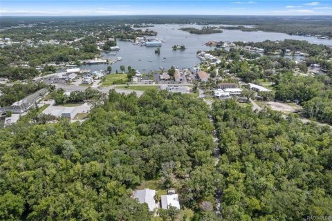 Casa en venta en Crystal River, Florida, 1 dormitorio, 95.88 m2 № 1830014 - foto 12