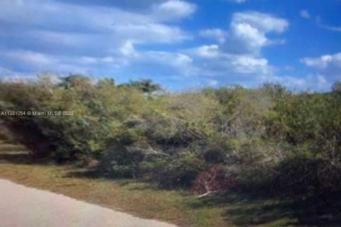 Terreno en venta en Port Charlotte, Florida № 1984744 - foto 2