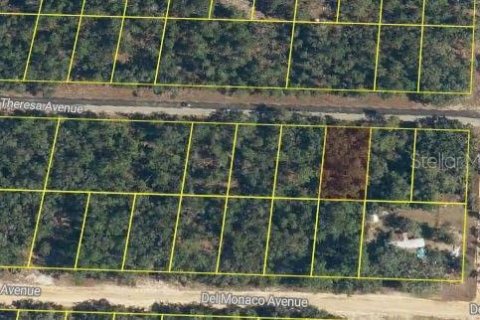 Land in Interlachen, Florida № 2162678 - photo 2