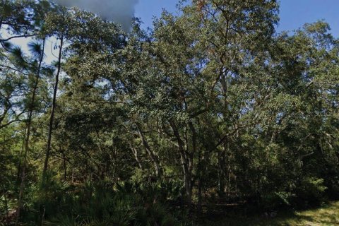 Land in Interlachen, Florida № 2162678