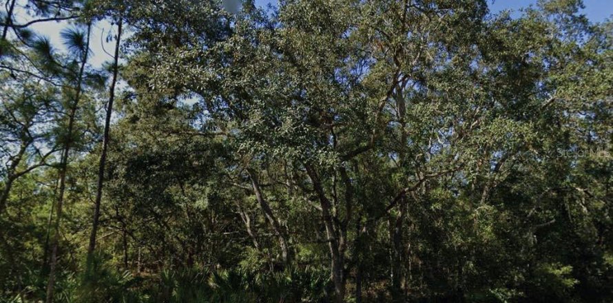 Land in Interlachen, Florida № 2162678