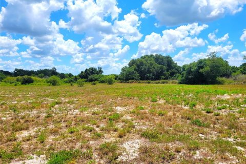 Land in Mulberry, Florida № 1246185 - photo 1