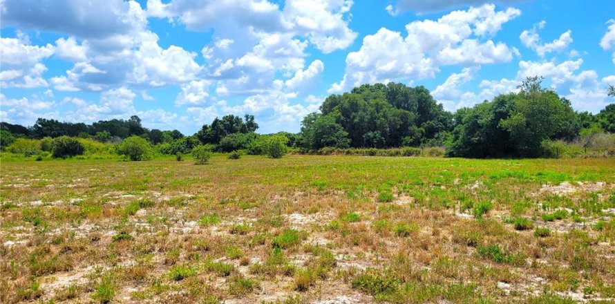 Land in Mulberry, Florida № 1246185