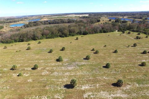 Land in Mulberry, Florida № 1246185 - photo 3