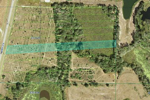 Land in Mulberry, Florida № 1246185 - photo 4