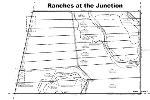 Land in Mulberry, Florida № 1246185 - photo 5