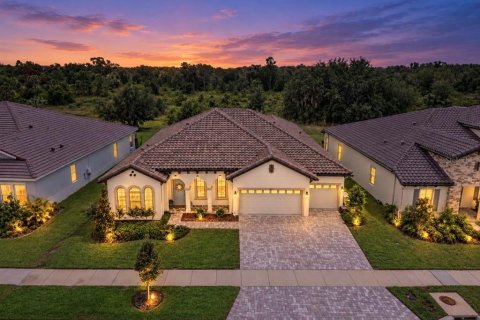 House in Fish Hawk, Florida 4 bedrooms, 296.27 sq.m. № 2396268