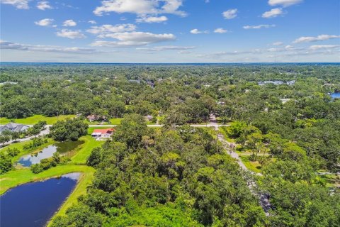 Land in Riverview, Florida № 1879156 - photo 10