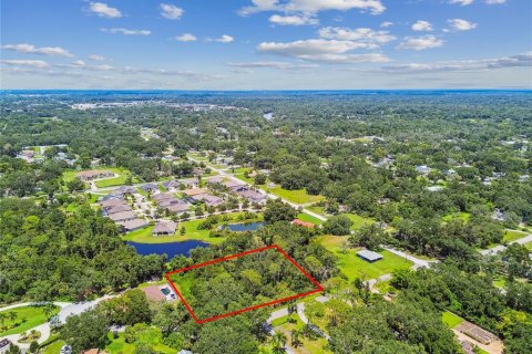Land in Riverview, Florida № 1879156 - photo 3