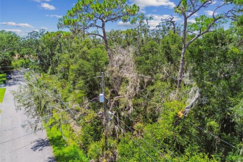 Land in Riverview, Florida № 1879156 - photo 11