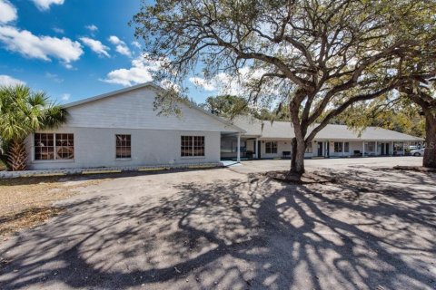 Immobilier commercial à Riverview, Floride № 2118570