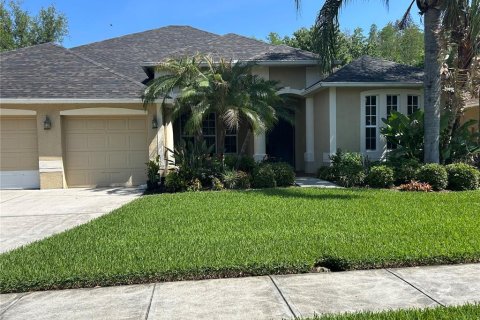 House in Wesley Chapel, Florida 4 bedrooms, 328.87 sq.m. № 2277755