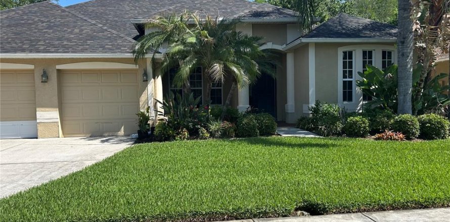 Villa ou maison à Wesley Chapel, Floride 4 chambres, 328.87 m2 № 2277755