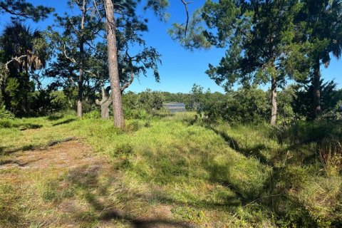 Terrain à vendre à Cedar Key, Floride № 2416669 - photo 8