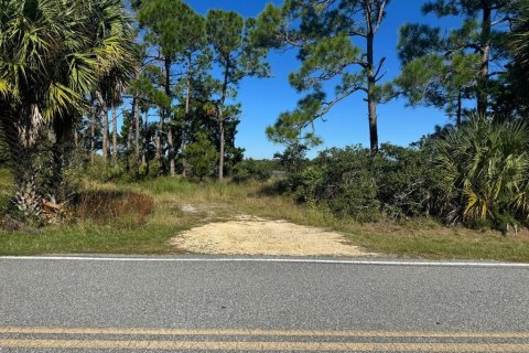 Terrain à Cedar Key, Floride № 2416669