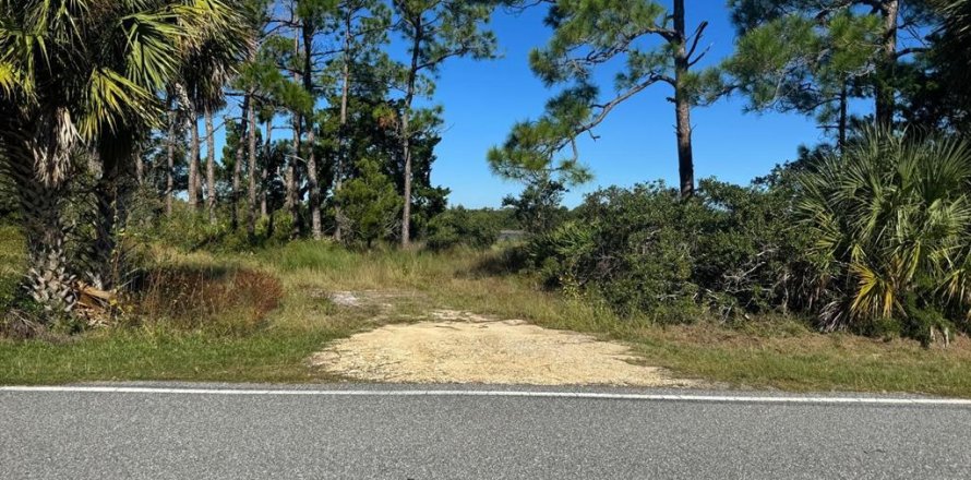 Terrain à Cedar Key, Floride № 2416669