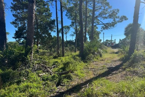 Terrain à vendre à Cedar Key, Floride № 2416669 - photo 6
