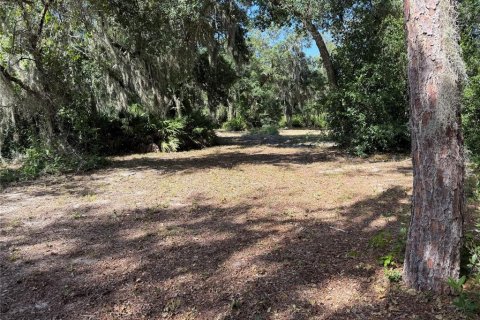 Terrain à Groveland, Floride № 2207886