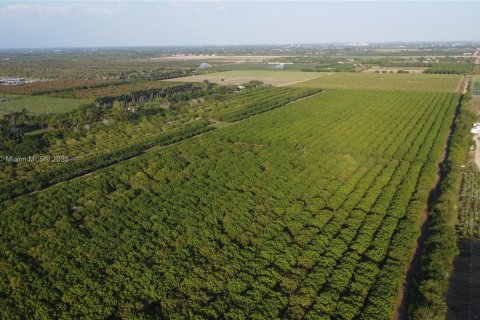 Immobilier commercial à vendre à Homestead, Floride № 1985239 - photo 10