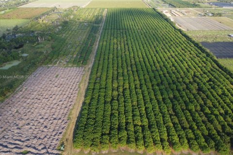 Immobilier commercial à vendre à Homestead, Floride № 1985239 - photo 3