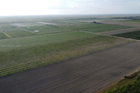 Immobilier commercial à vendre à Homestead, Floride № 1985239 - photo 7