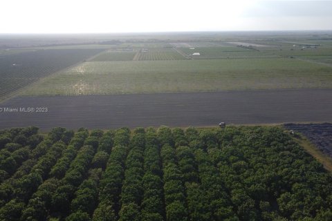 Immobilier commercial à vendre à Homestead, Floride № 1985239 - photo 6