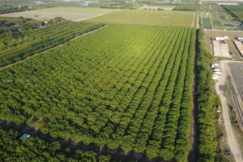 Immobilier commercial à vendre à Homestead, Floride № 1985239 - photo 11