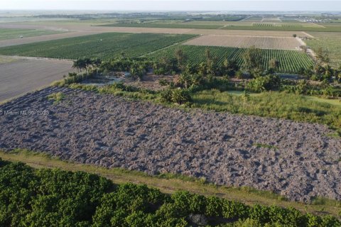 Immobilier commercial à vendre à Homestead, Floride № 1985239 - photo 17
