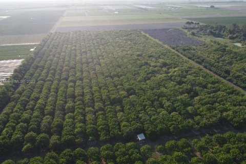 Immobilier commercial à vendre à Homestead, Floride № 1985239 - photo 13