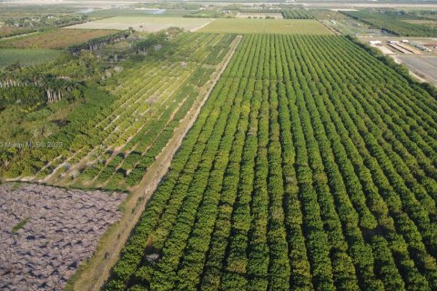 Immobilier commercial à vendre à Homestead, Floride № 1985239 - photo 1