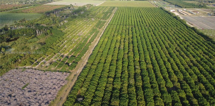 Immobilier commercial à Homestead, Floride № 1985239