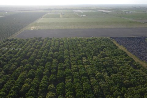 Immobilier commercial à vendre à Homestead, Floride № 1985239 - photo 16