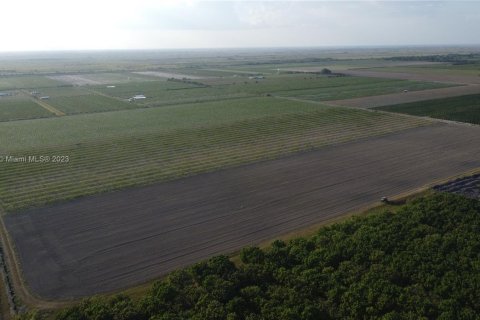 Immobilier commercial à vendre à Homestead, Floride № 1985239 - photo 8
