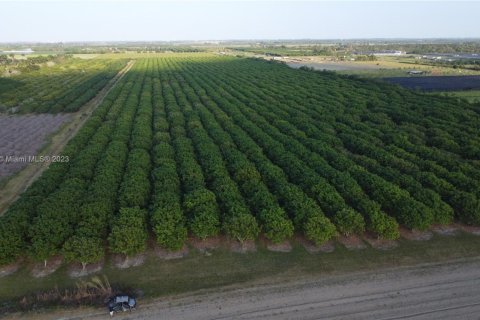 Immobilier commercial à vendre à Homestead, Floride № 1985239 - photo 2