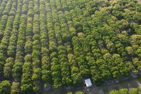 Immobilier commercial à vendre à Homestead, Floride № 1985239 - photo 15