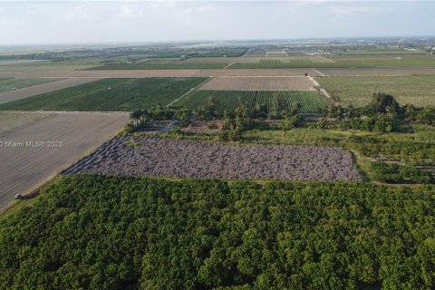 Immobilier commercial à vendre à Homestead, Floride № 1985239 - photo 9
