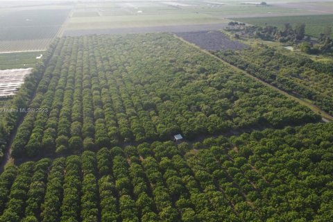 Immobilier commercial à vendre à Homestead, Floride № 1985239 - photo 12