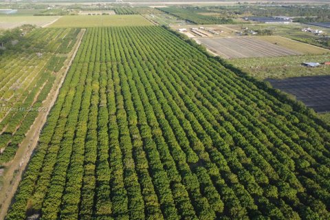 Immobilier commercial à vendre à Homestead, Floride № 1985239 - photo 4