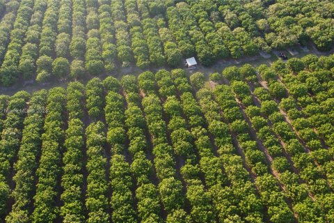Immobilier commercial à vendre à Homestead, Floride № 1985239 - photo 14