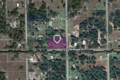 Land in Clewiston, Florida № 1715896 - photo 4