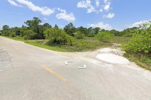 Land in Clewiston, Florida № 1715896 - photo 3