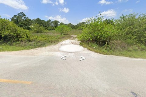 Land in Clewiston, Florida № 1715896 - photo 1