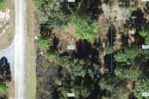 Land in Citrus Springs, Florida № 2388263