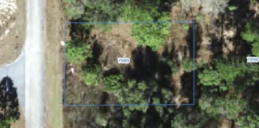 Land in Citrus Springs, Florida № 2388263