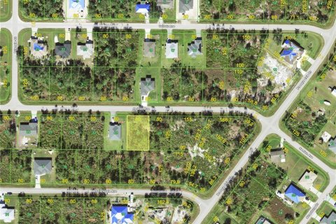 Land in Port Charlotte, Florida № 2161658 - photo 2
