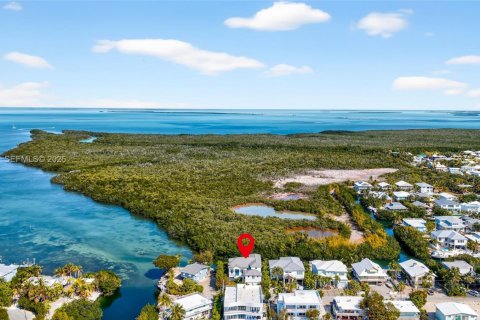 Villa ou maison à Tavernier, Floride 6 chambres, 381.64 m2 № 2046408